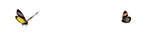 giphy 1