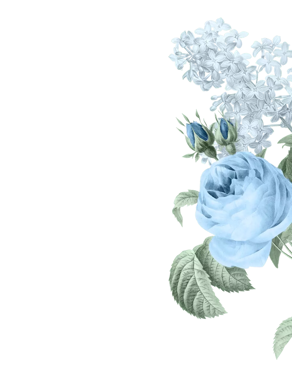 IMG 0866