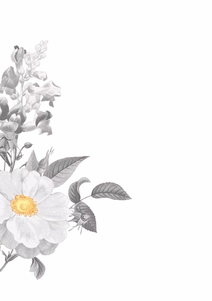 Flower 1